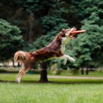 DSC_3056 (2)