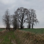 DSCF1145