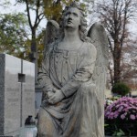 DSCF6241